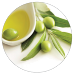 Hydroxytyrosol (Olive Extract)